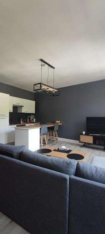 Appartement D'Hippolyte - Vue Musee Rimbaud Charleville-Mézières 외부 사진